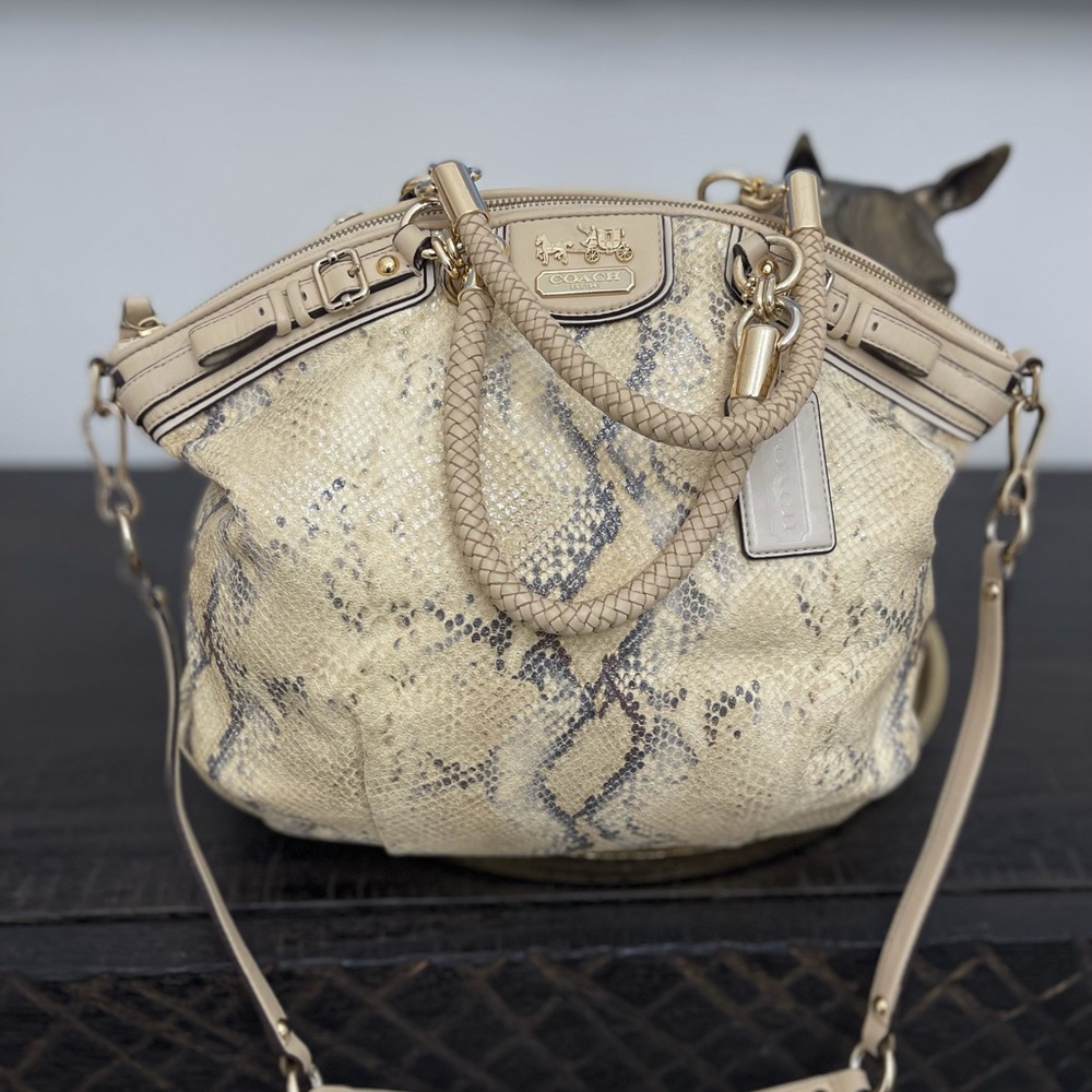 Coach snake print bag
